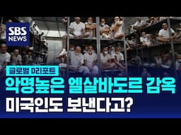 악명 높은 엘살바도르 감옥…미국인도 보낸다고? / SBS / #D리포트