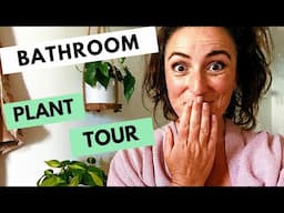 Best Plants for Bathroom | Low Light Houseplants |