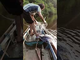 Dapat Ikan Super Besar Di Sungai Simpang Keramat