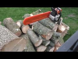 Stihl 036 Pro First Cut