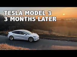 3 months later... Living with Tesla Model 3.