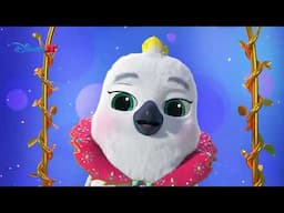 🐦 Cântecul păsării | Super Pisicuțe | Disney Junior România