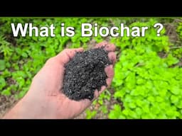 What is Biochar? - How does it Improve Soil Fertility?  -  For Gardens, Lawns, Trees, and Shrubs