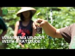 Wrapping up 2021 with Gratitude