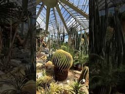 Palmengarten Frankfurt | Tropical and Semitropical Greenhouses | Botanical Garden | Germany Leisure