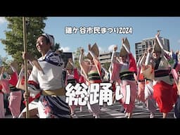 阿波踊り「天翔連、江戸っ子連、飛鳥連、ひょっとこ連」Awa Odori  - 総踊り - 第50回記念鎌ヶ谷市民まつり（2024.10.12）