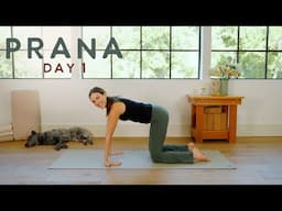 Prana - Day 1