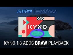 Jellyfish Workflows: Kyno 1.8 Adds Blackmagic RAW Playback