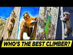 Who's the Best Climber? | A Very Nerdy Analysis (Part 1)