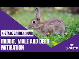 K-State Garden Hour Webinar Series: Rabbit, Mole, and Deer Mitigation