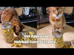 Vet-Approved 7 Ingredient Natural Hairball  Remedy