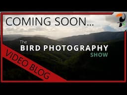 New Bird Photography Show - Coming Soon!!!