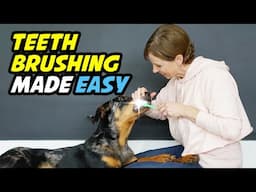 How to Easily Brush Your Dog's Teeth: Step-by-Step Tutorial