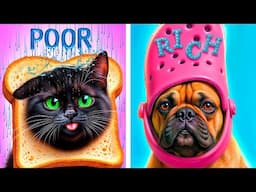 We Build a Secret Rooms for Pets! Rich Dog vs Poor Cat!