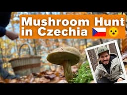 Mushroom Picking in the Czech Republic | Traveling in Central Europe