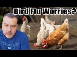 How to Protect Your Chickens from Bird Flu & Predators