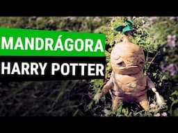 HAZ TU PROPIA MANDRÁGORA DE HARRY POTTER ¡Súper fácil! (manualidades fáciles)