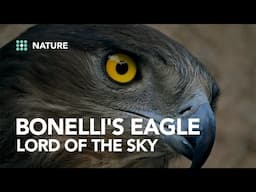 Discover the remarkable friendship between a man and an eagle