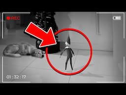 50 Times Elf On The Shelf Caught MOVING TALKING At Night On Camera! 😱