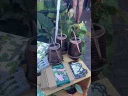 #shorts Amazing Plant Finds @ Plant Festival 2022 | Potted Houseplants - Plant Mom Care