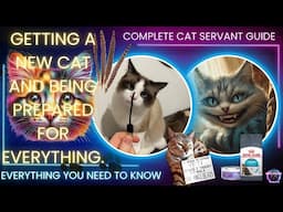 Getting a new cat? The complete guide.  #cat #catvideos #newcat #adoptacat