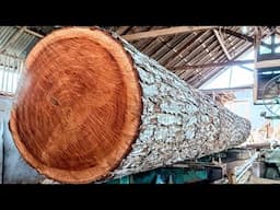 Amazing Transform Logs into Lumber, Produce High-Quality Wood Fast, Done in Minutes