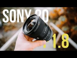 SONY FE 20MM F1.8 // Extreme High Value!