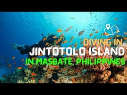 Diving in Jintotolo Island, Balud, Masbate, Philippines.