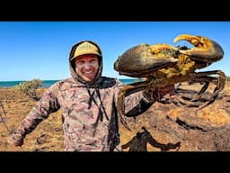 GIANT CRAB - Catch and Cook - 2 Days Fishing Hunting & Foraging For Food