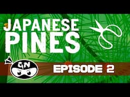 JAPANESE PINE TREES (Garden Ninjas #2)