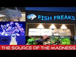 Touring Fish Freaks in Omaha! The Scource of the Madness!