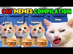 CAT MEMES FAMILY ROADTRIP COMPILATION