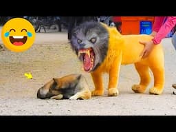 New Funniest Animals 2024 😂 Best Funny Cats and Dogs 2024 😻🐶 Part 28