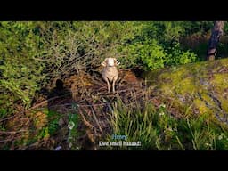 Kingdom Come Deliverance 2 - Henry's Sheep Jokes