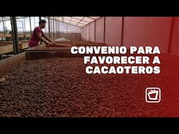 Robustecen convenio que favorece al sector cacaotero