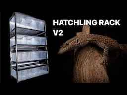 DIY Demo: Lizard Hatchling Rack V2