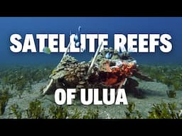 Scuba Diving the Satellite Reefs of Ulua in South Maui - Part 2