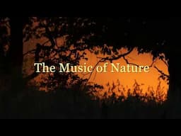 Music of Nature Trailer