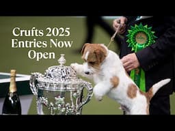 Entries for Crufts 2025 are now OPEN!