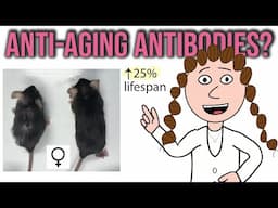 anti-aging antibodies?