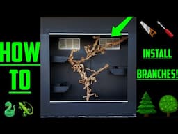 How To Install Branches ....The Correct Way!