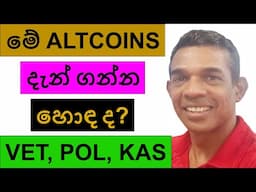 මේ ALTCOINS දැන් ගන්න හොඳ ද? | VET, POL, RIFSOL AND KASPA