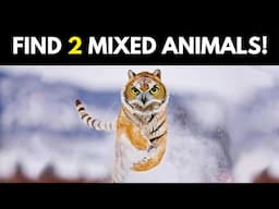 Guess 2 Animals Mixed In One Picture Puzzle! | Hybrid Animals Game