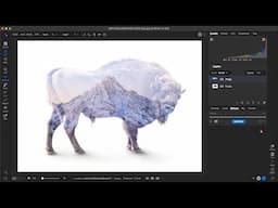 ON1 Photo RAW’s Best Kept Secrets for Pro-Level Photo Editing