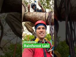 Introducing... Rainforest Lab!