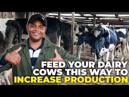 Small Scale Farming Guide for Dairy Farmers: How to Increase Your Dairy Farm Production