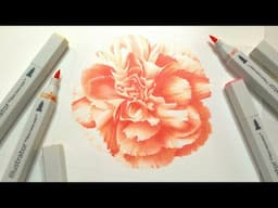 How to draw a Carnation flower // Spectrum Noir illustrator markers