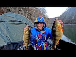 Camping ON my BOAT at a mountain reservoir! FAT perch catch and cook