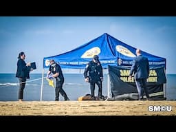 Homeless Woman Found Dead on Santa Monica Beach: Homicide Investigation Underway