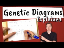 Genetic Diagrams Explained